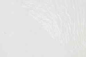 Ковролин Orotex Salsa с защитной плёнкой 1950 фото  | FLOORDEALER